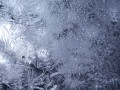 Untitled 02