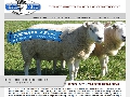 Sheep Breeders Website